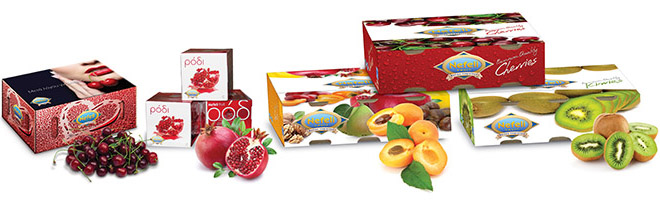 συσκευασίες με φρούτα